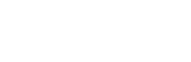 dell ano